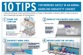 10 Tips for Working Safely in Your Animal Handling Biosafety Cabinet