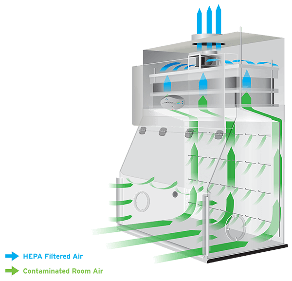 Class I biosafety cabinet, containment ventilated enclosure airflow graphic