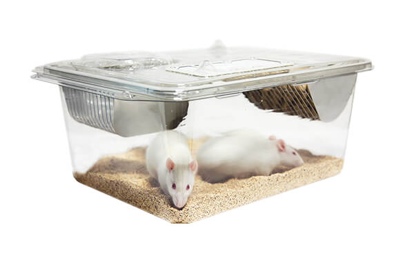 Rat and hot sale mice cages