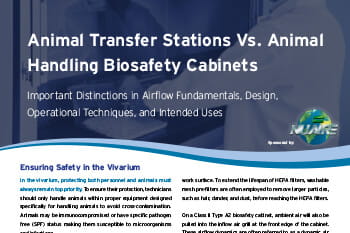 Animal Transfer Stations vs Biosafety Cabinets