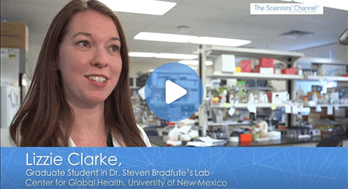 Efficacious Vaccines for Filovirus