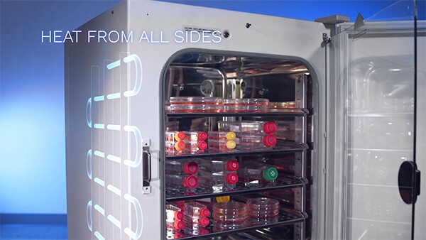 In-VitroCell CO2 Incubators Temperature Uniformity