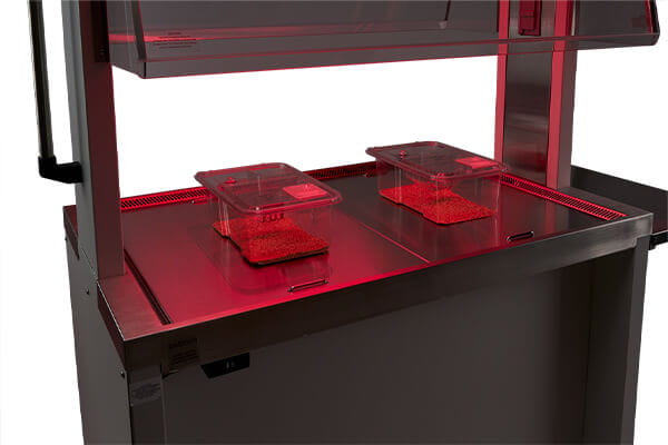 NuAire NU-622 Animal Transfer Station with optional red light for animal comfort during cage changing