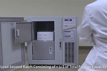 Blizzard NU-99100J Ultralow Freezer Properly Batch Loading the Freezer