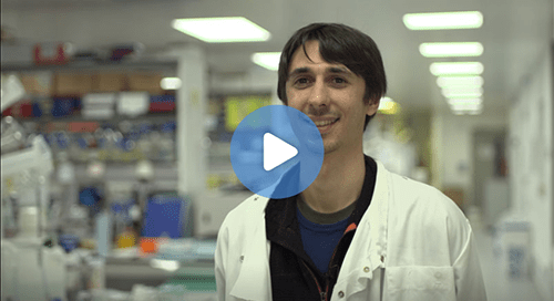 Pulmonary Toxicity of Graphene Oxide