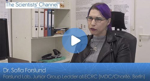 relationship between human microbiome and cardiovascular diseases