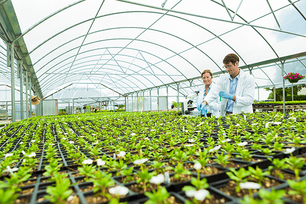 Seed Research Laboratory Equipment