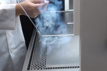 AllerGard NU-620 Animal Transfer Station Smoke Flow Demonstration