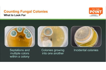 Best Sampling Practices Webinar – Essential Insights for Pharmacy Cleanrooms
