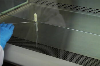 Proper Preparation - The 4 Steps to Take Before You Begin Work in Your Biosafety Cabinet