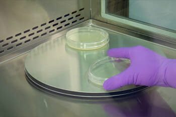 Biosafety Cabinet Ergonomics