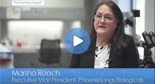 Cell Culture Model Predicts Drug Toxicity