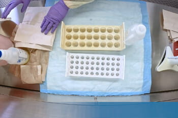 Containing Spill in your Class II, Type A2 Biosafety Cabinet