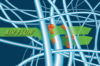 Use of HEPA Filters in Biosafety Cabinets