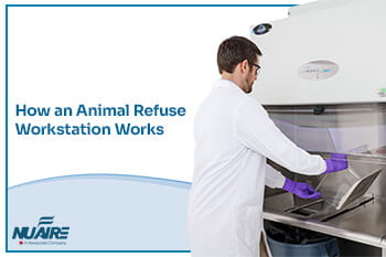 How an Animal Refuse Workstation (Cage Dump Station) Works