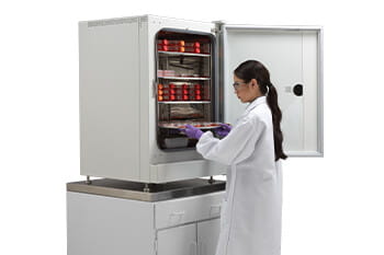 In-VitroCell NU-5841 Direct Heat Hypoxic CO2 Incubator