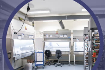 Safe and Effective Research in the Vivarium