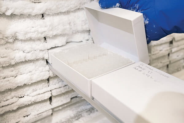 Selecting an Ultralow Freezer Back-up System