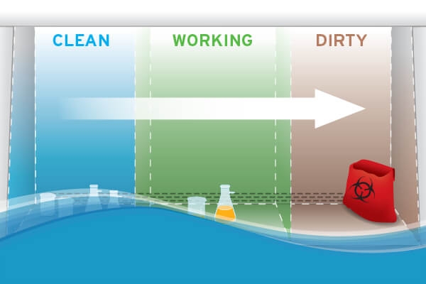 Setting up the Class II Biosafety Cabinet Work Zone for the Biomedical/Microbiological Work