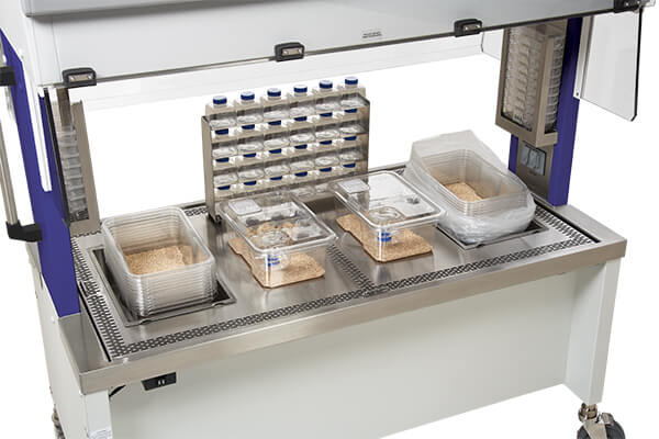 small animal transfer station with Innovive® disposable caging system, featuring organized cage trays, feed containers, and a clean, stainless steel work surface tailored for efficient vivarium workflows
